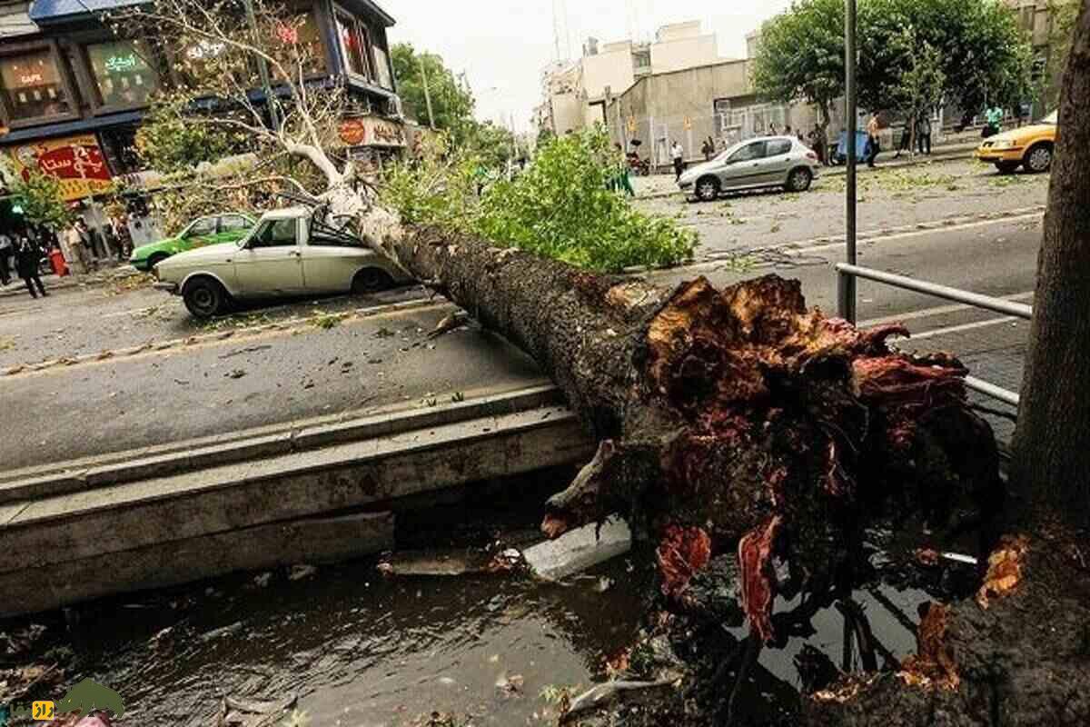 چرا در فصل بهار، بهویژه اردیبهشت ماه، در ایران طوفان میآید؟ چرا در فصل بهار، بهویژه اردیبهشت ماه، در ایران طوفان میآید؟