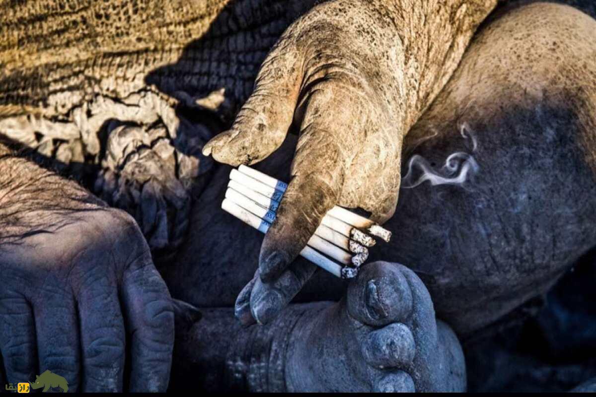 عمو حاجی که بود؟ ماجرای زندگی عجیبترین مرد ایران که ۶۰ سال حمام نرفت و از مردار تغذیه میکرد! عمو حاجی که بود؟ ماجرای زندگی عجیبترین مرد ایران که ۶۰ سال حمام نرفت و از مردار تغذیه میکرد!