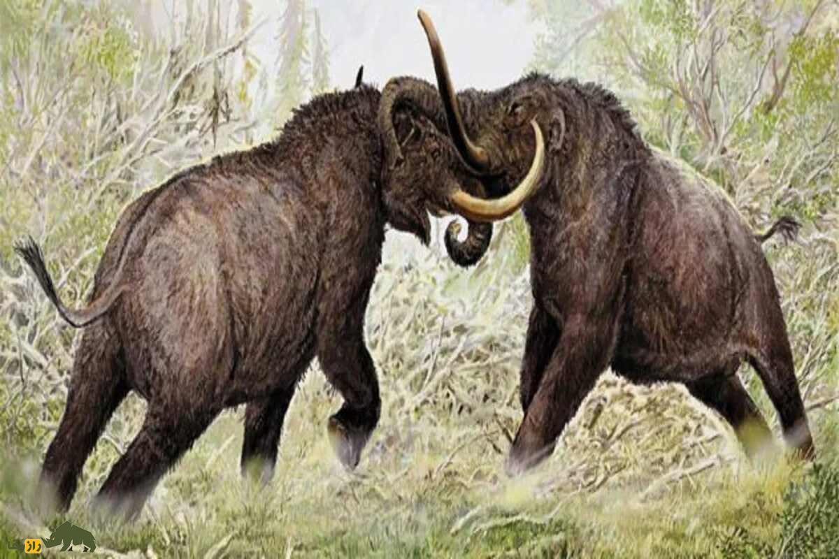 فیل سوری و فیل‌های پلیستوسن؛ راز فیل‌های منقرض‌شده ایران در خوزستان و اردبیل چیست؟