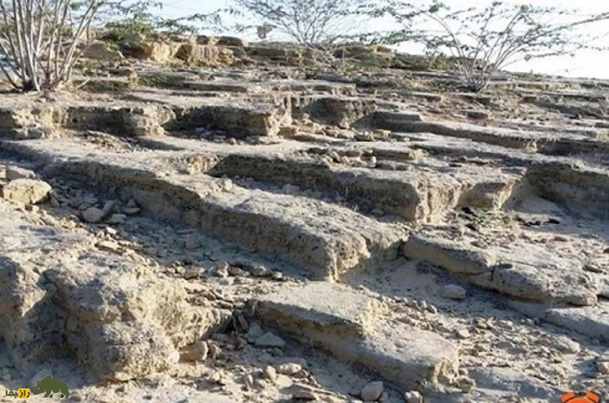 قبرستان جنها؛ ترسناکترین مکان ایران در چابهار که ارواح پلید آنجا حضور دارند و هیچ انسانی جرأت نزدیک شدن به آن را ندارد قبرستان جنها