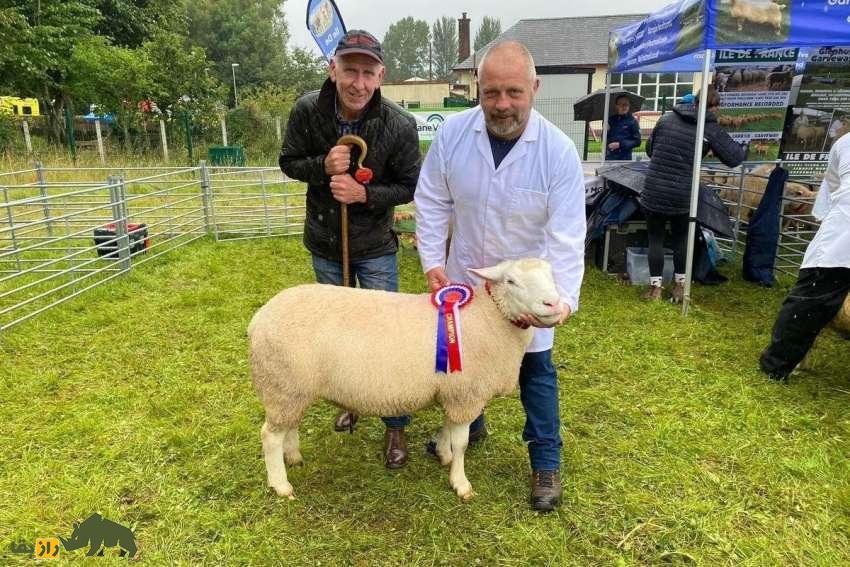 گوسفند ایل دو فرانس؛ گوسفند معروف به «دوشیزه فرانسوی» که یکی از بهترین گوسفندان دنیاست و سالی ۶ کیلو پشم میدهد گوسفند ایل دو فرانس