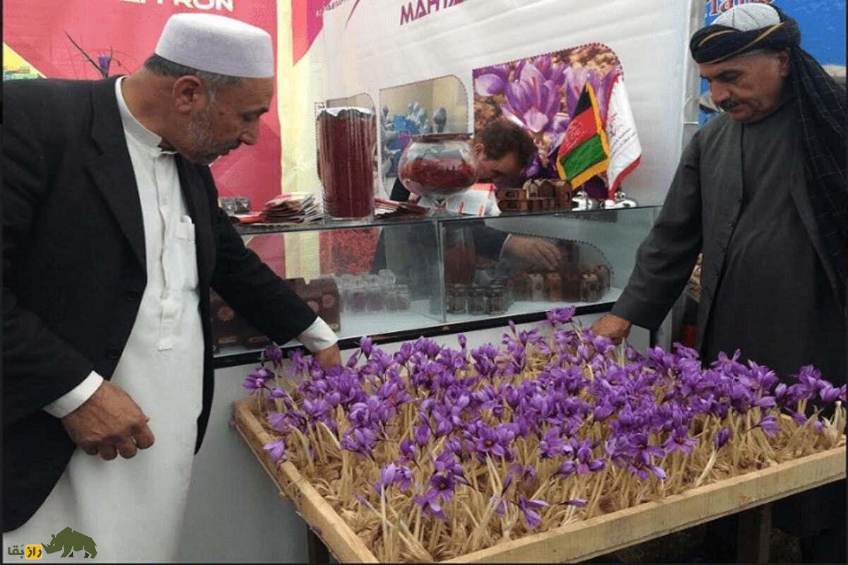 طلای سرخ افغانستان؛ چرا زعفران افغانستان از زعفران ایران گران‌تر است؟