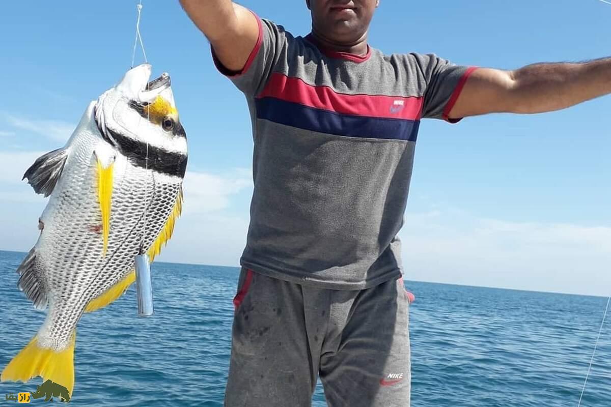 ماهی دختر ناخدا؛ لذیذترین ماهی خلیج فارس با گوشت نرم و خواص بینظیر برای سلامتی ماهی دختر ناخدا؛ لذیذترین ماهی خلیج فارس با گوشت نرم و خواص بینظیر برای سلامتی