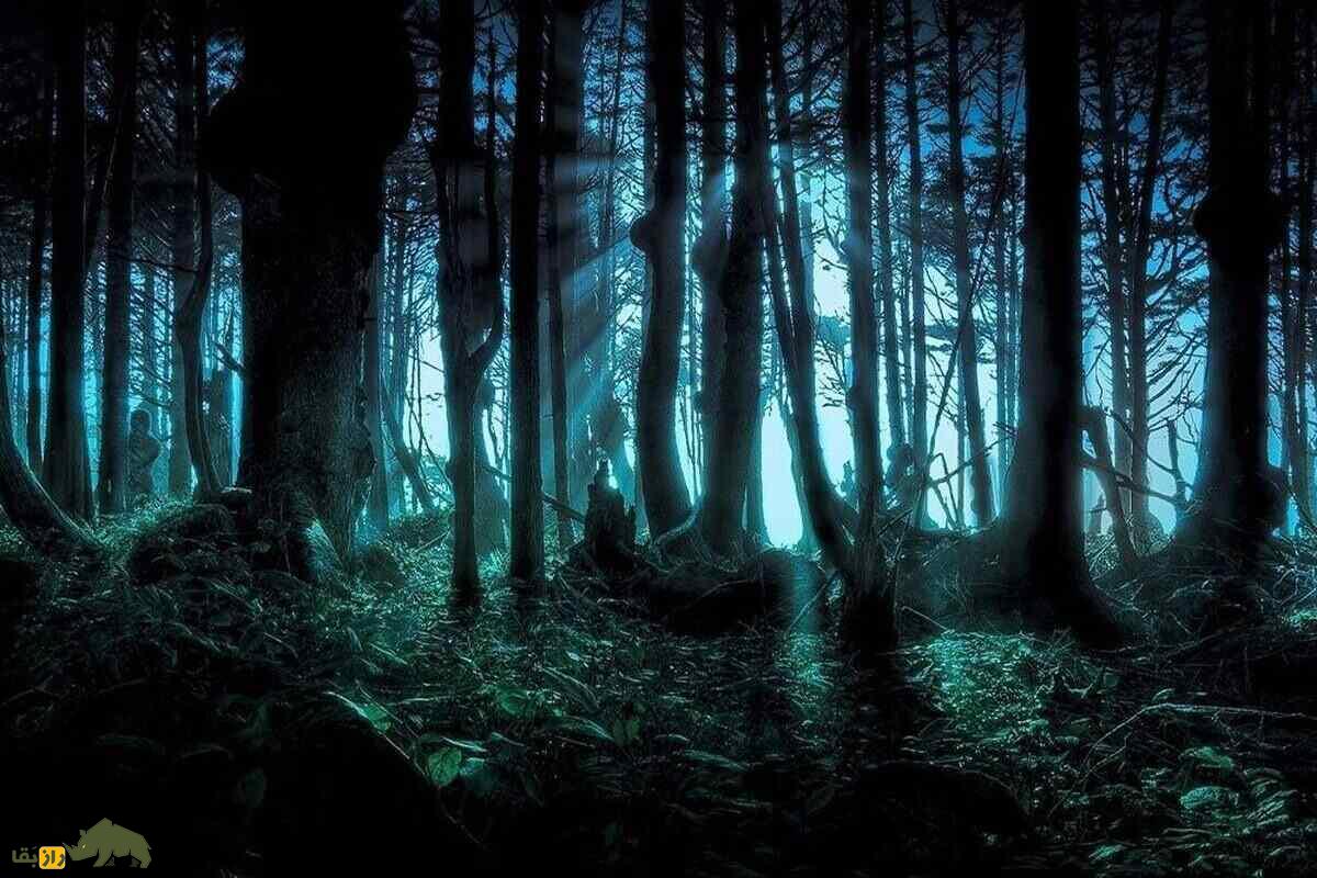 جنگل جیغ مشهد؛ ترسناکترین جنگل ایران که اجنه در آن زندگی میکنند و باعث ترس و وحشت مردم میشود جنگل جیغ مشهد