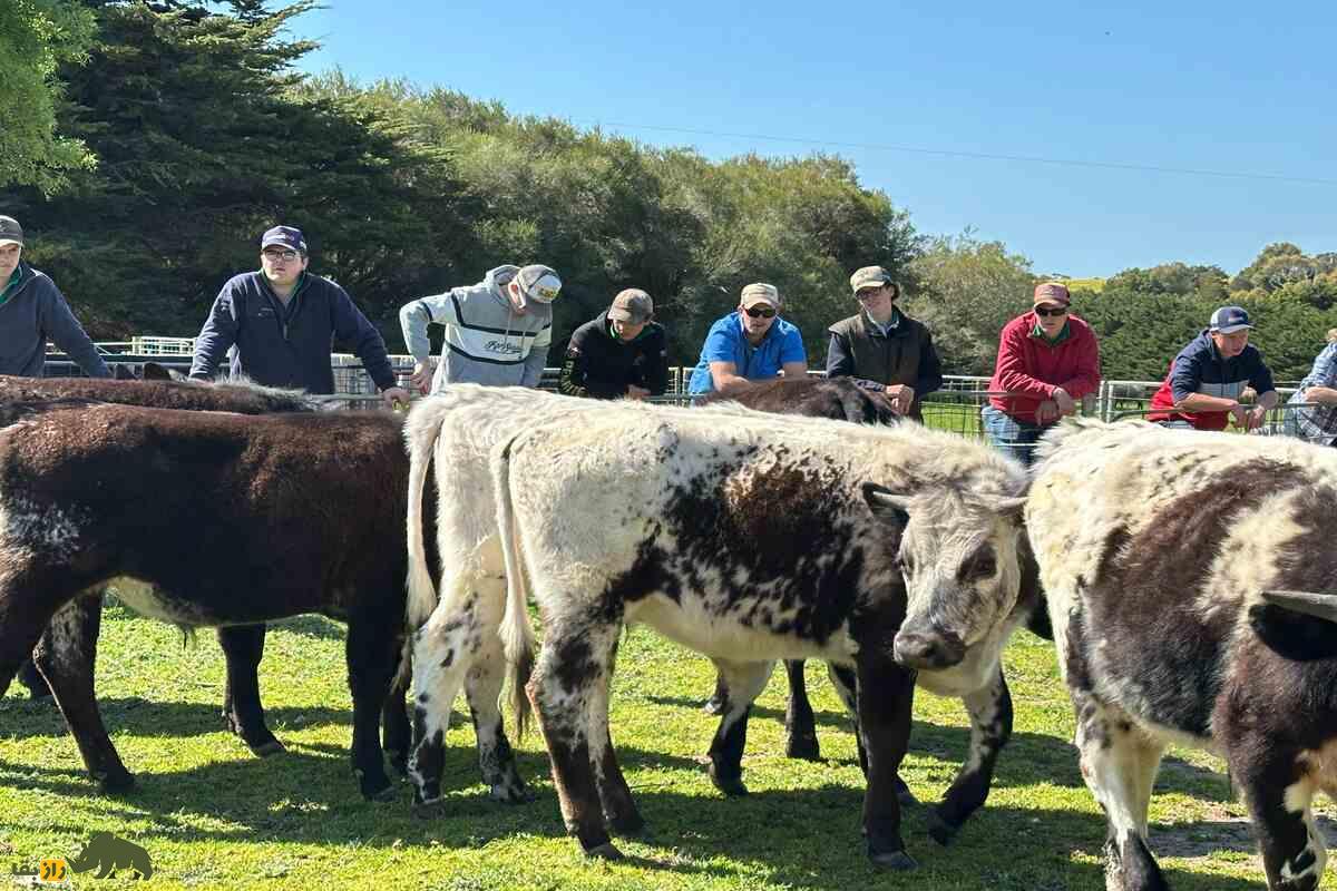 بیگ برتا؛ پیرترین گاو دنیا که با ۴۸ سال عمر و ۳۹ زایمان رکورد جهانی گینس را شکست بیگ برتا؛ پیرترین گاو دنیا که با ۴۸ سال عمر و ۳۹ زایمان رکورد جهانی گینس را شکست