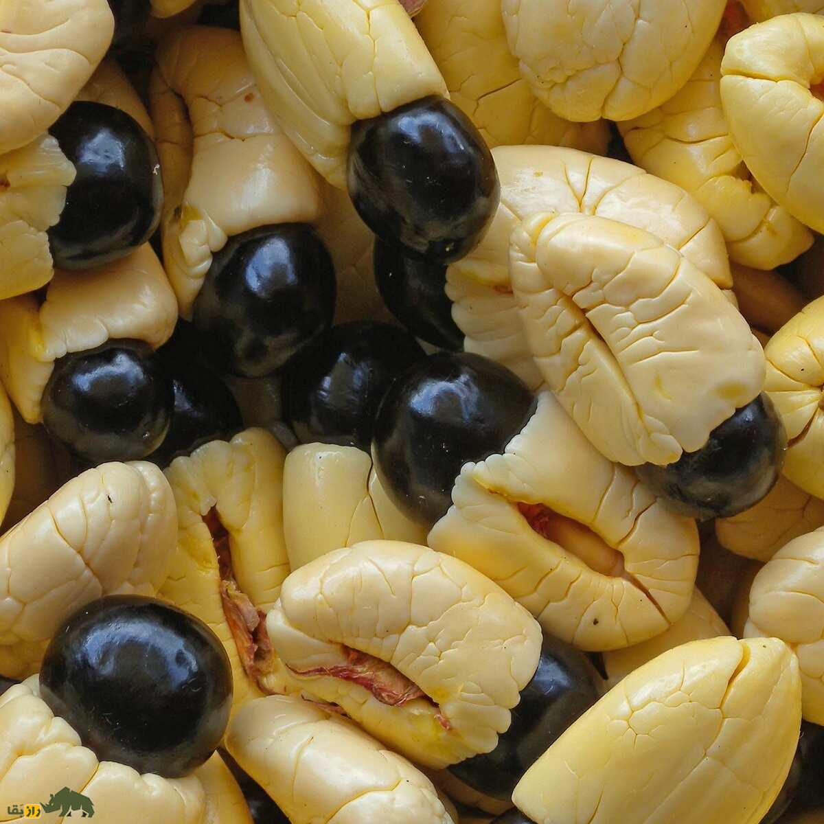 میوه آکی: میوه ملی کشور جامائیکا با ظاهری عجیب که هم بسیار زیبا و خوشمزه است و هم به شدت سمی و مرگبار است میوه آکی