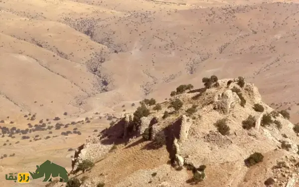 مخفیگاه مرموز دختر یزدگرد در دالاهو؛ پناهگاه آخرین پادشاه ساسانی کجاست؟ مخفیگاه مرموز دختر یزدگرد در دالاهو؛ پناهگاه آخرین پادشاه ساسانی کجاست؟