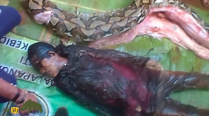 اگر یک مار انسان را ببلعد، چند دقیقه زنده می‌ماند؟