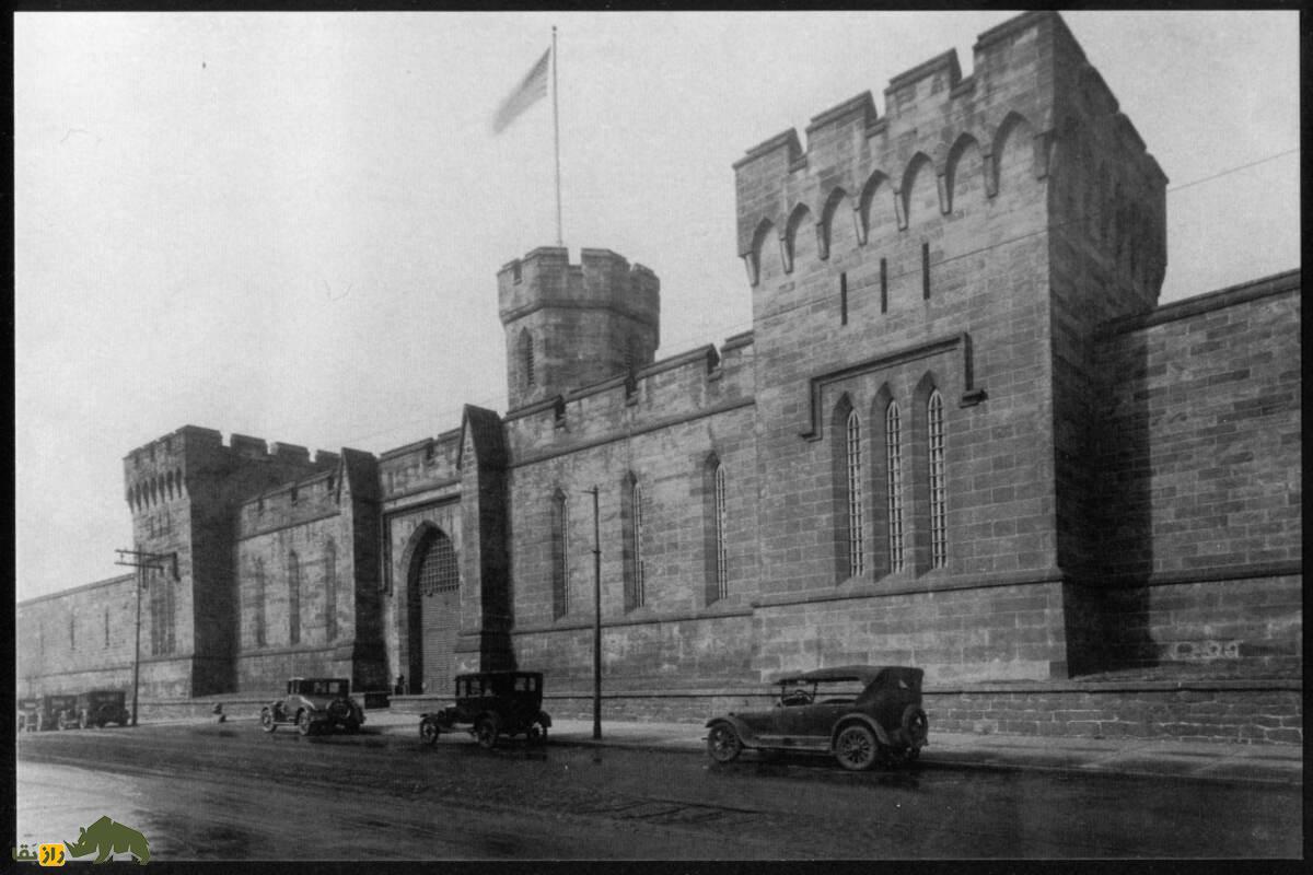 پپ؛ داستان واقعی سگی که به جرم قتل گربه زندانی شد پپ؛ داستان واقعی سگی که به جرم قتل گربه زندانی شد