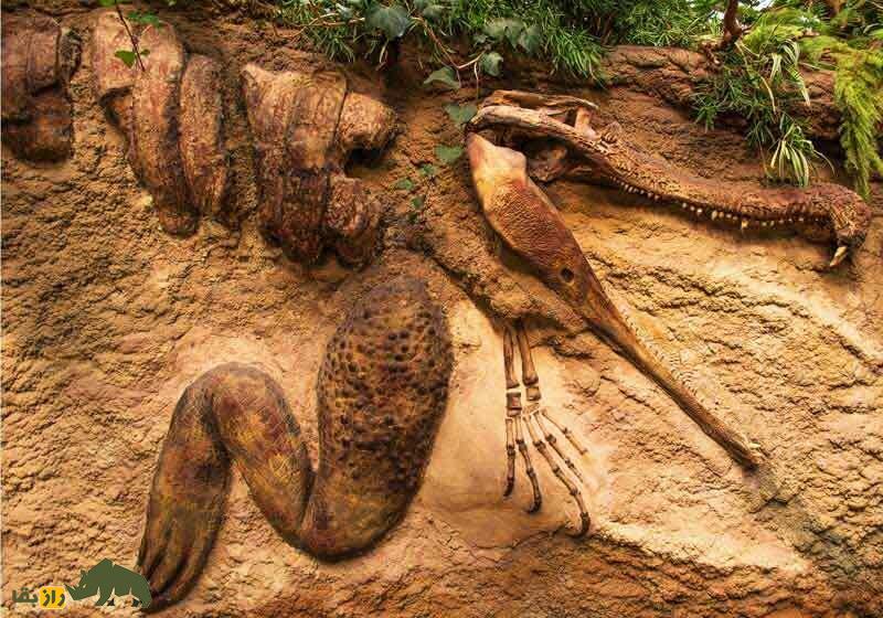 کاربرد عجیب برای فسیل هیولاهای باستانی؛ فسیل دایناسور سرطان را درمان میکند! فسیل دایناسور