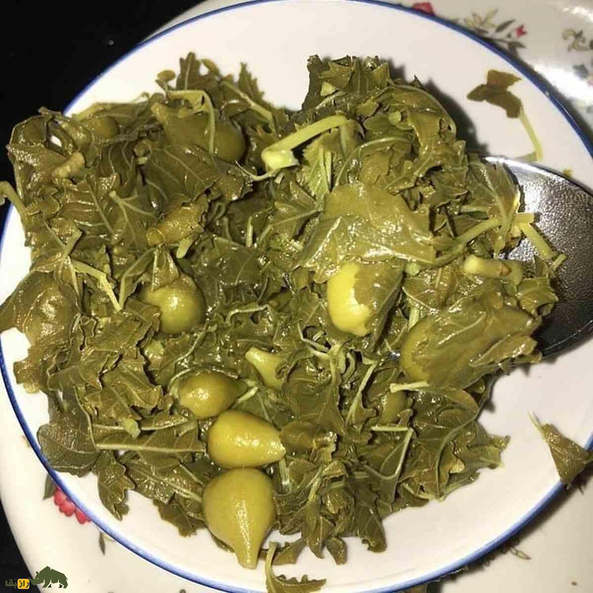 کیجو؛ میوهای صخرهنشین و کمیاب و درمانگرِ تن و روان انسان است! کیجو؛ میوهای صخرهنشین و کمیاب و درمانگرِ تن و روان انسان است!