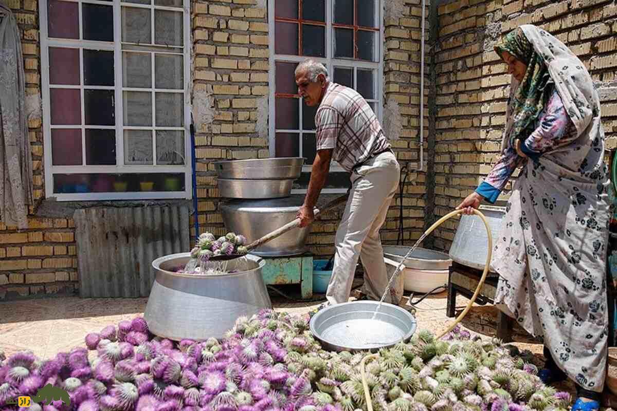گل گوهر؛ گیاهی بومی ایران که با خارمریم اشتباه گرفتهمیشود و خواص دارویی بینظیری دارد گل گوهر؛ گیاهی بومی ایران که با خارمریم اشتباه گرفتهمیشود و خواص دارویی بینظیری دارد