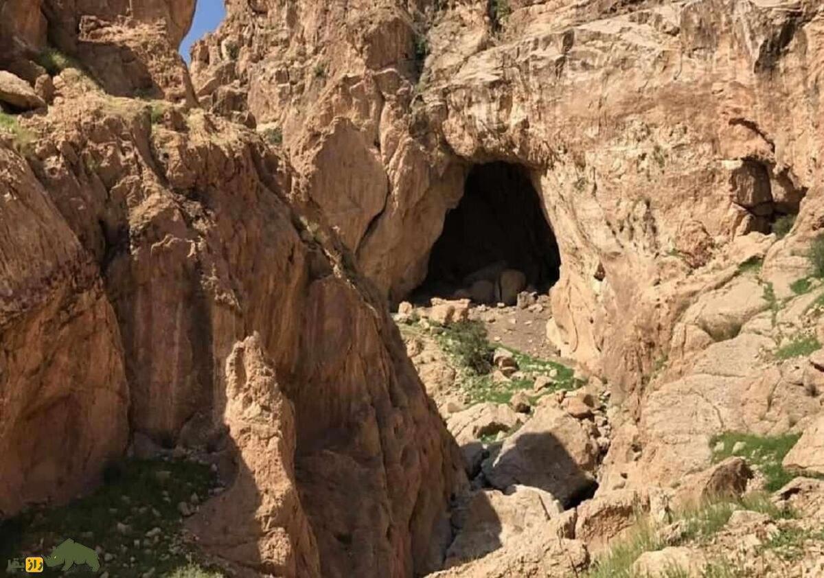 غار خفاش دهلران؛ بزرگترین و مرموزترین زیستگاه خفاش‌ها در خاورمیانه که میلیون‌ها سال قدمت دارد