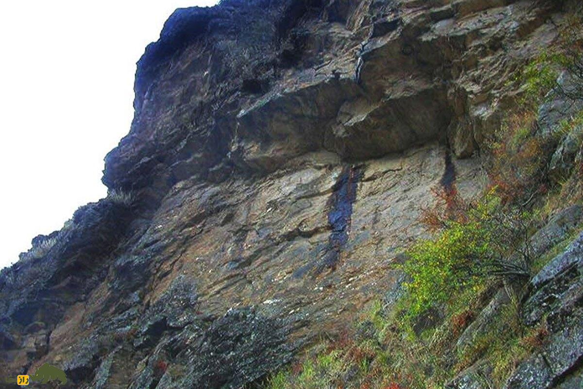 مومنایی؛ شیره کوههای ایران که ۲۰ گرم آن ۱.۵ میلیون تومان میارزد و خواص شگفتانگیزی برای سلامت جنسی و افزایش انرژی دارد مومنایی