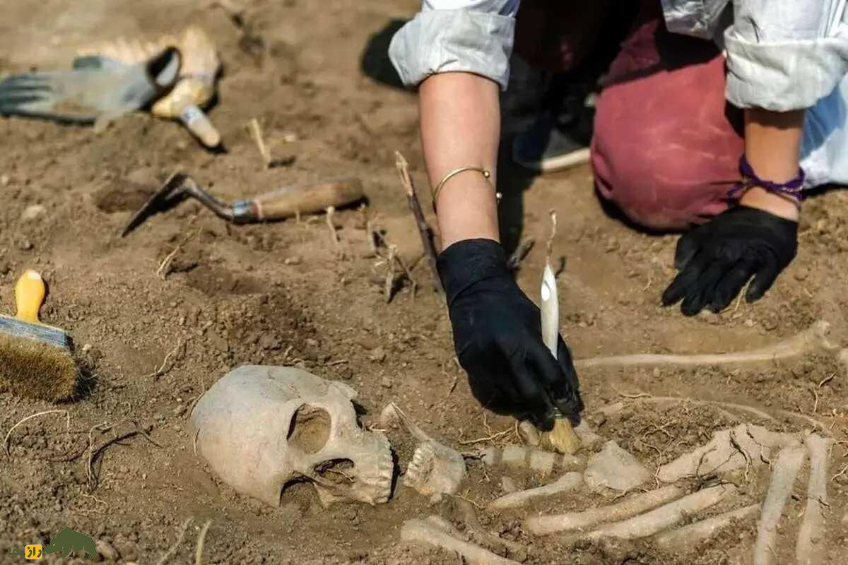 جمجمه ۹۰۰۰ ساله تپه عبدالحسین لرستان؛ راز تغییر شکل جمجمه در ایران باستان که نمیدانستید! جمجمه ۹۰۰۰ ساله تپه عبدالحسین لرستان؛ راز تغییر شکل جمجمه در ایران باستان که نمیدانستید!