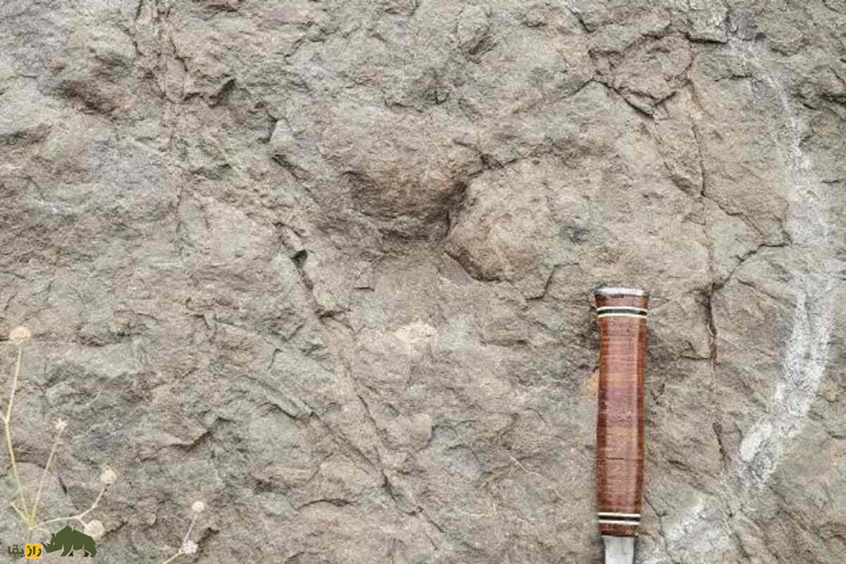 کشف ردپای دایناسورها در زرند کرمان؛ روایتی از ۱۸۰ میلیون سال پیش کشف ردپای دایناسورها در زرند کرمان؛ روایتی از ۱۸۰ میلیون سال پیش