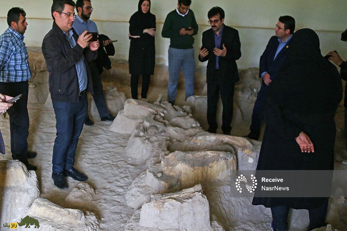 دره گرگ مراغه؛ درهای ناشناخته و اسرارآمیز و زیستگاه قدیمی گرگها که یک گرگ سفید و افسانهای نگهبان آن است دره گرگ مراغه