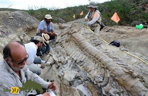 دره گرگ مراغه؛ درهای ناشناخته و اسرارآمیز و زیستگاه قدیمی گرگها که یک گرگ سفید و افسانهای نگهبان آن است دره گرگ مراغه