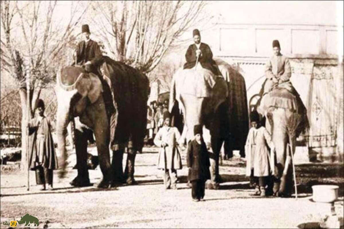 اولین باغوحش ایران در دوران ناصرالدینشاه؛ مجمعالوحوش ناصری و رازهای پنهان تاریخ تهران اولین باغوحش ایران در دوران ناصرالدینشاه؛ مجمعالوحوش ناصری و رازهای پنهان تاریخ تهران