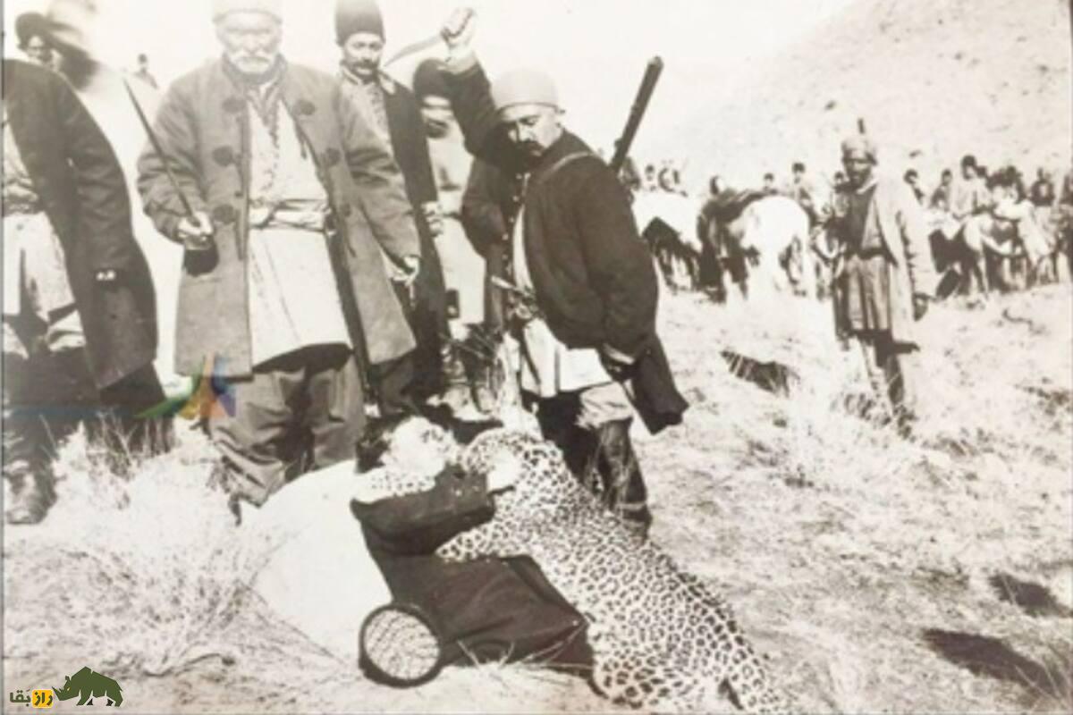 اولین باغوحش ایران در دوران ناصرالدینشاه؛ مجمعالوحوش ناصری و رازهای پنهان تاریخ تهران اولین باغوحش ایران در دوران ناصرالدینشاه؛ مجمعالوحوش ناصری و رازهای پنهان تاریخ تهران