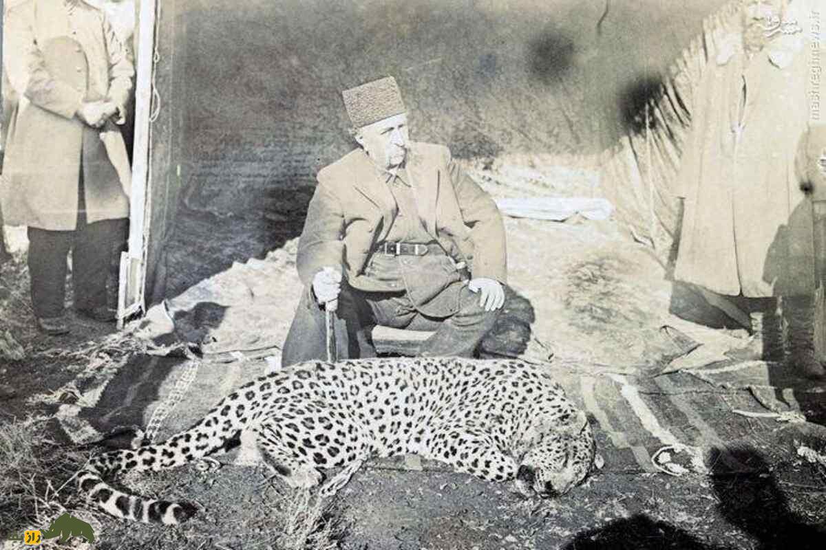 اولین باغوحش ایران در دوران ناصرالدینشاه؛ مجمعالوحوش ناصری و رازهای پنهان تاریخ تهران اولین باغوحش ایران در دوران ناصرالدینشاه؛ مجمعالوحوش ناصری و رازهای پنهان تاریخ تهران