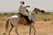اسب تاولید؛ اسب سودانی مشهور به «بوگاتی صحرا» که روی زمین خاکی مسابقه پرواز میکند!