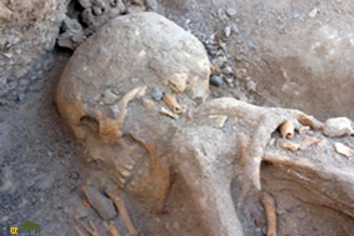 گنج دهنو؛ گورستان باستانی ۳۵۰۰ ساله یاسوج که یکی از پنج گنج بزرگ ایران است گنج دهنو