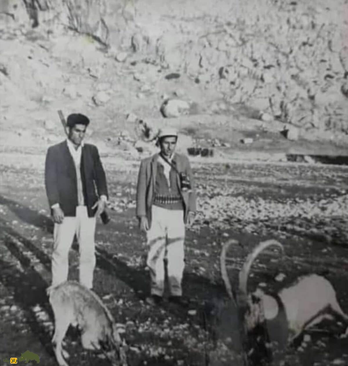 آداب شکار در فرهنگ بختیاری: ارتباطی اخلاقمدار با بز کوهی و حیاتوحش آداب شکار در فرهنگ بختیاری: ارتباطی اخلاقمدار با بز کوهی و حیاتوحش