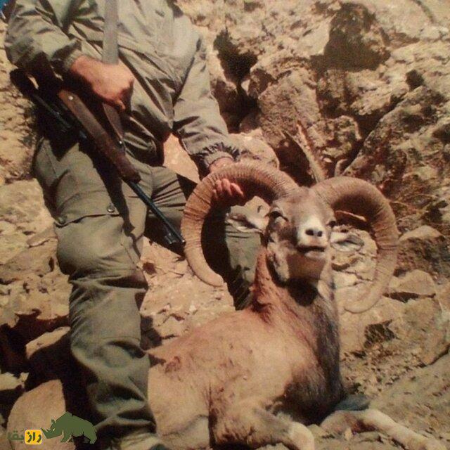 آداب شکار در فرهنگ بختیاری؛ بختیاریها چرا شکار میکردند و چه قوانینی برای شکار داشتند؟ شکار در بختیاری