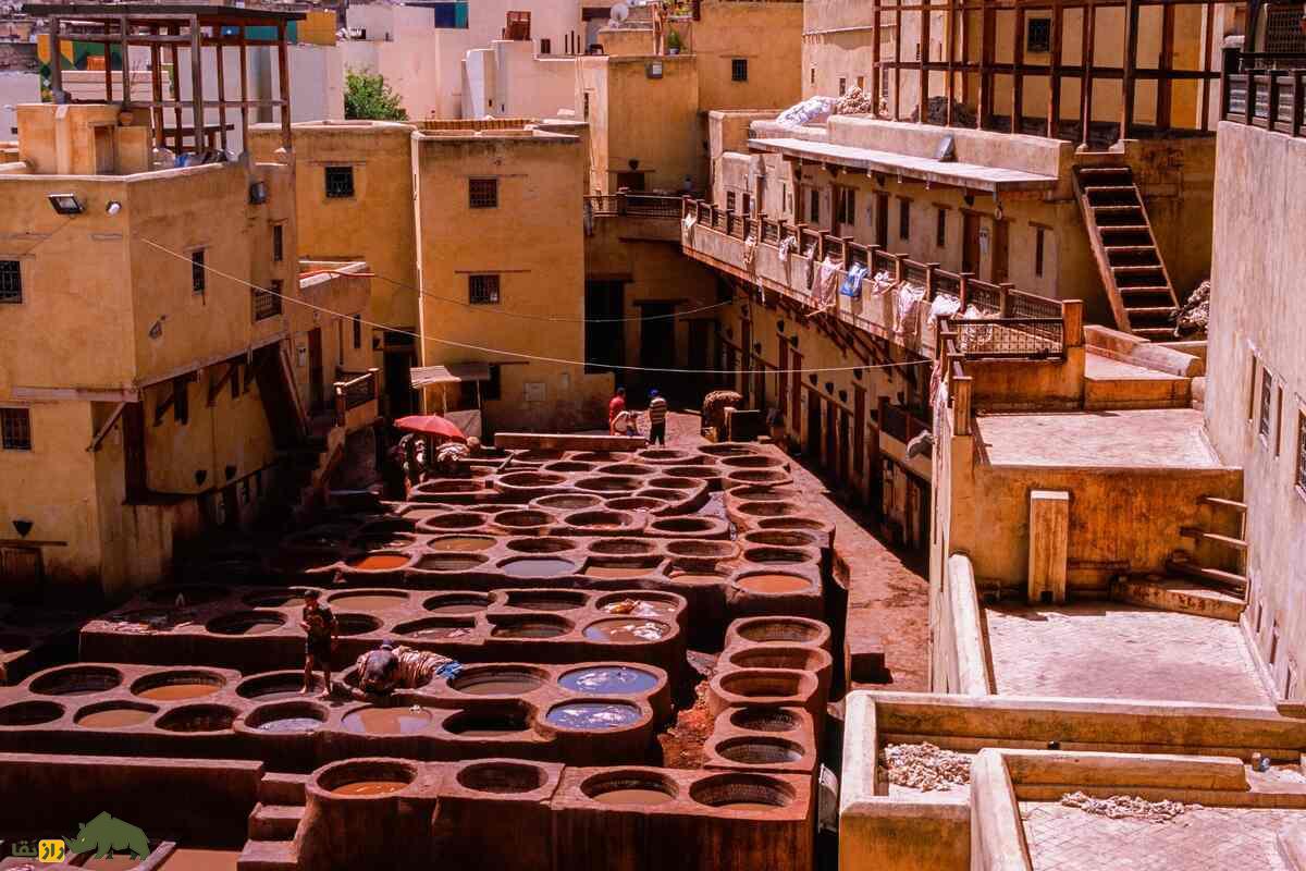 چرم فاس؛ بهترین چرم دنیا که با فضله کبوتر درست می‌شود