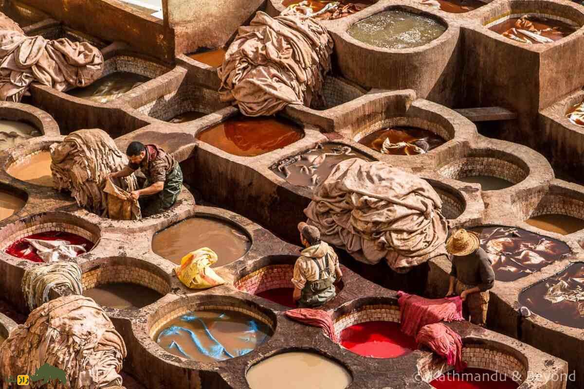 چرم فاس؛ بهترین چرم دنیا که با فضله کبوتر درست میشود چرم فاس؛ بهترین چرم دنیا که با فضله کبوتر درست میشود
