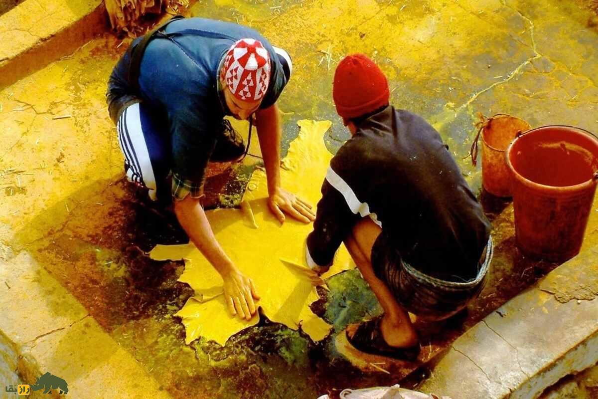 چرم فاس؛ بهترین چرم دنیا که با فضله کبوتر درست میشود چرم فاس؛ بهترین چرم دنیا که با فضله کبوتر درست میشود