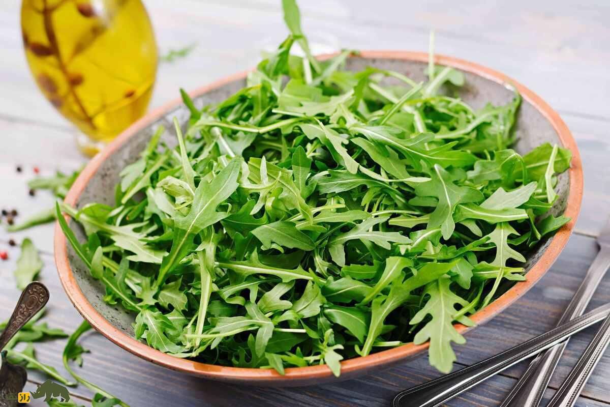 روکولا یا شابانک؛ سبزی معطر با خواص ضدسرطان و فواید طب سنتی که در ایران هم بهصورت خودرو میروید روکولا یا شابانک؛ سبزی معطر با خواص ضدسرطان و فواید طب سنتی که در ایران هم بهصورت خودرو میروید