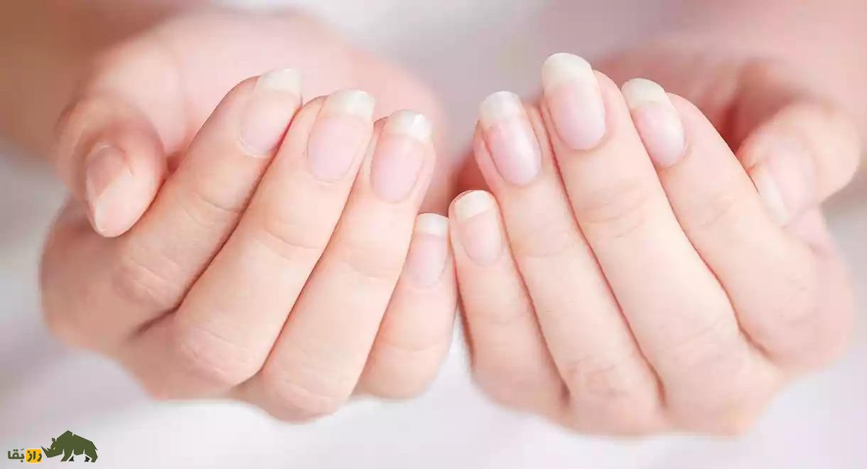 چرا ناخنها دائما رشد میکنند، اما دندانها نه؟ ناخن