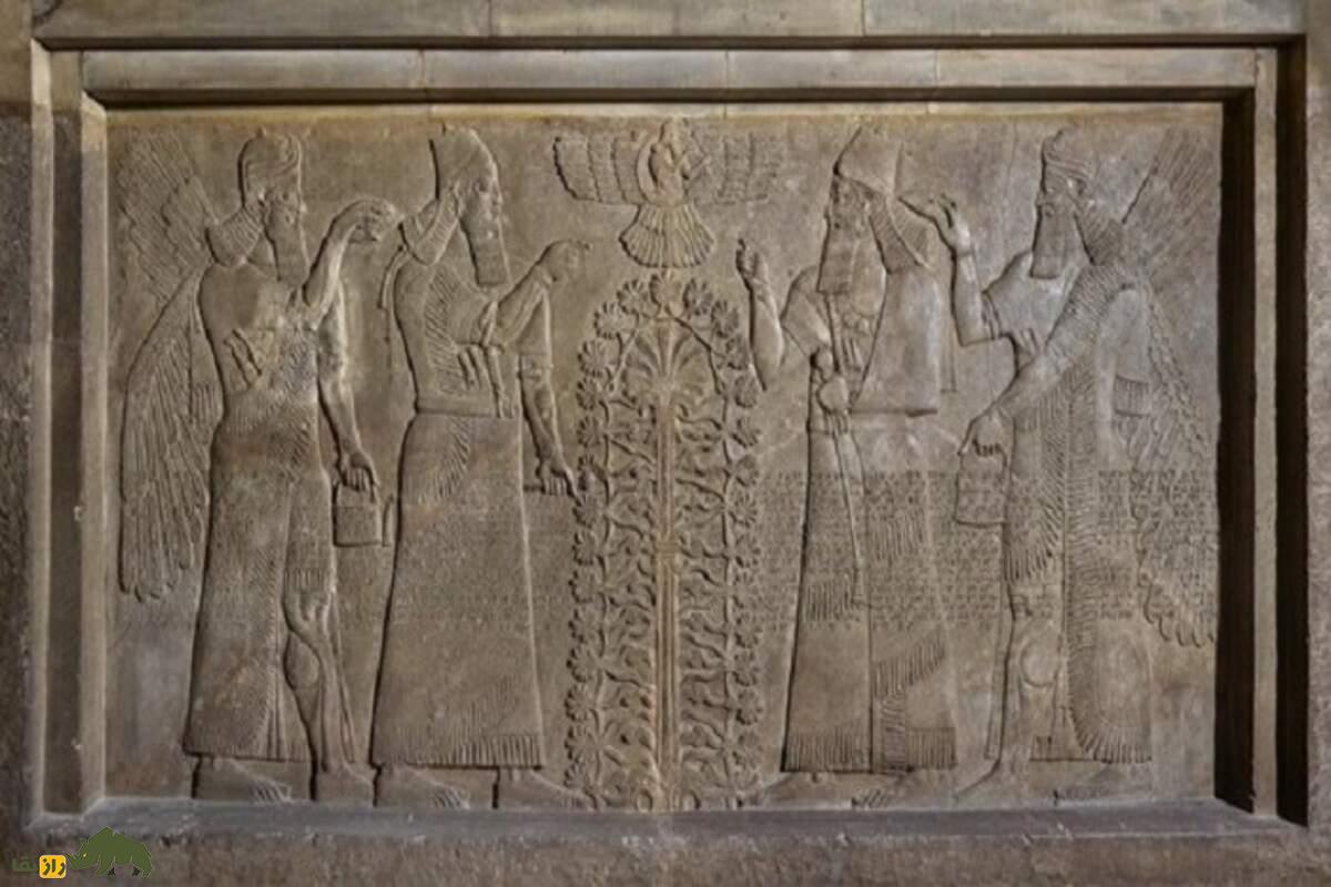 راز گیاه افسانهای خشخاش | از تولد در سومر تا نقش حیاتیاش در پزشکی، اعتیاد و تاریخ جهان راز گیاه افسانهای خشخاش | از تولد در سومر تا نقش حیاتیاش در پزشکی، اعتیاد و تاریخ جهان