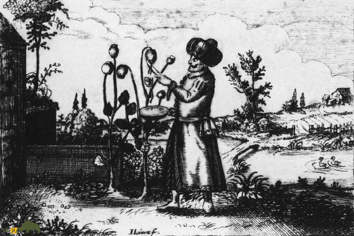 راز گیاه افسانهای خشخاش | از تولد در سومر تا نقش حیاتیاش در پزشکی، اعتیاد و تاریخ جهان راز گیاه افسانهای خشخاش | از تولد در سومر تا نقش حیاتیاش در پزشکی، اعتیاد و تاریخ جهان