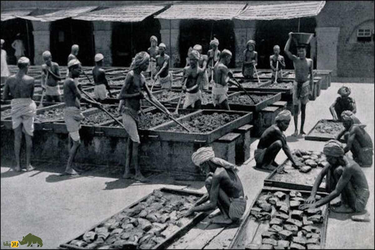 راز گیاه افسانهای خشخاش | از تولد در سومر تا نقش حیاتیاش در پزشکی، اعتیاد و تاریخ جهان راز گیاه افسانهای خشخاش | از تولد در سومر تا نقش حیاتیاش در پزشکی، اعتیاد و تاریخ جهان