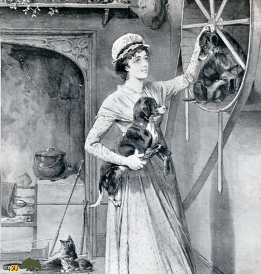 سگ چرخان؛ حیوان منقرض شدهای که انرژی تمام آشپزخانههای بریتانیا را تامین میکرد! سگ چرخان