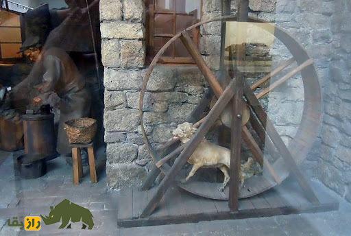 سگ چرخان؛ حیوان منقرض شدهای که انرژی تمام آشپزخانههای بریتانیا را تامین میکرد! سگ چرخان