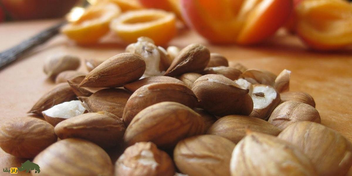 هسته زردآلو؛ چرا خوردن بیش از حد هسته زردآلو انسان را مسموم میکند؟ هسته زردآلو