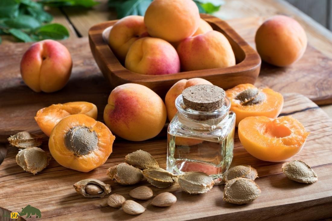 هسته زردآلو؛ چرا خوردن بیش از حد هسته زردآلو انسان را مسموم میکند؟ هسته زردآلو
