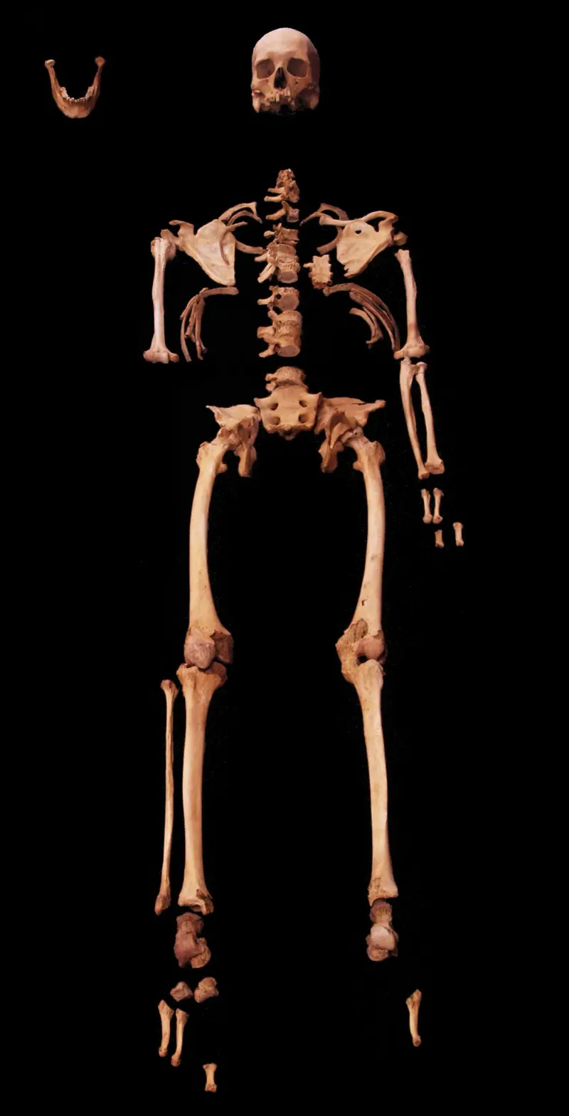 اسکلت ۴۵۰۰ ساله یک مرد قد کوتاه و سخت‌کوش که تاریخ مصر را دگرگون کرد!