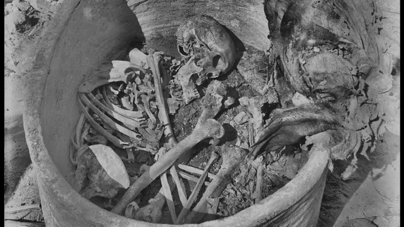 اسکلت ۴۵۰۰ ساله یک مرد قد کوتاه و سخت‌کوش که تاریخ مصر را دگرگون کرد!