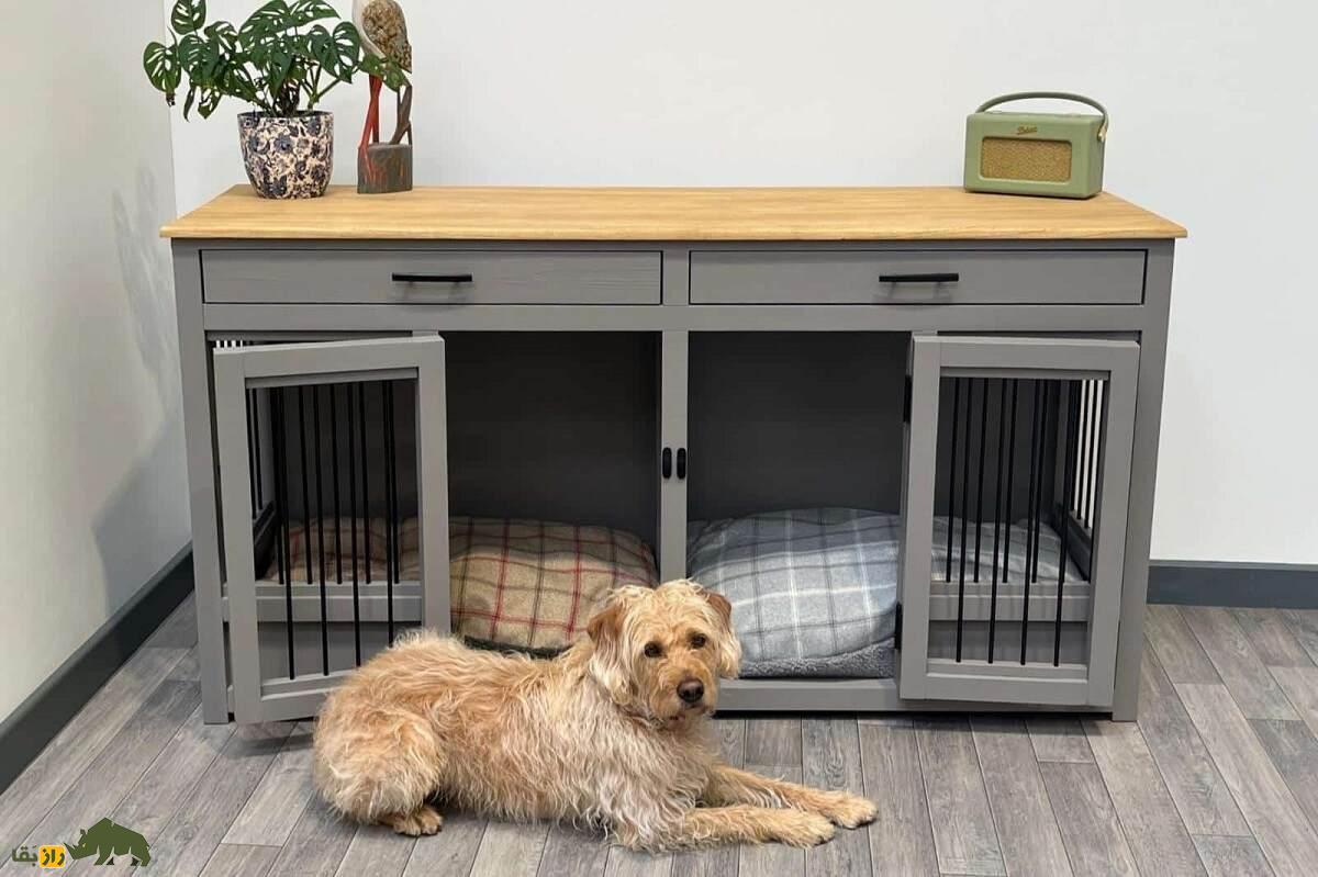 مبلمان راحتی گربه و سگ؛ چگونه زندگی حیوانات خانگی‌ را به زندگی انسان‌ها نزدیک‌تر کنیم؟