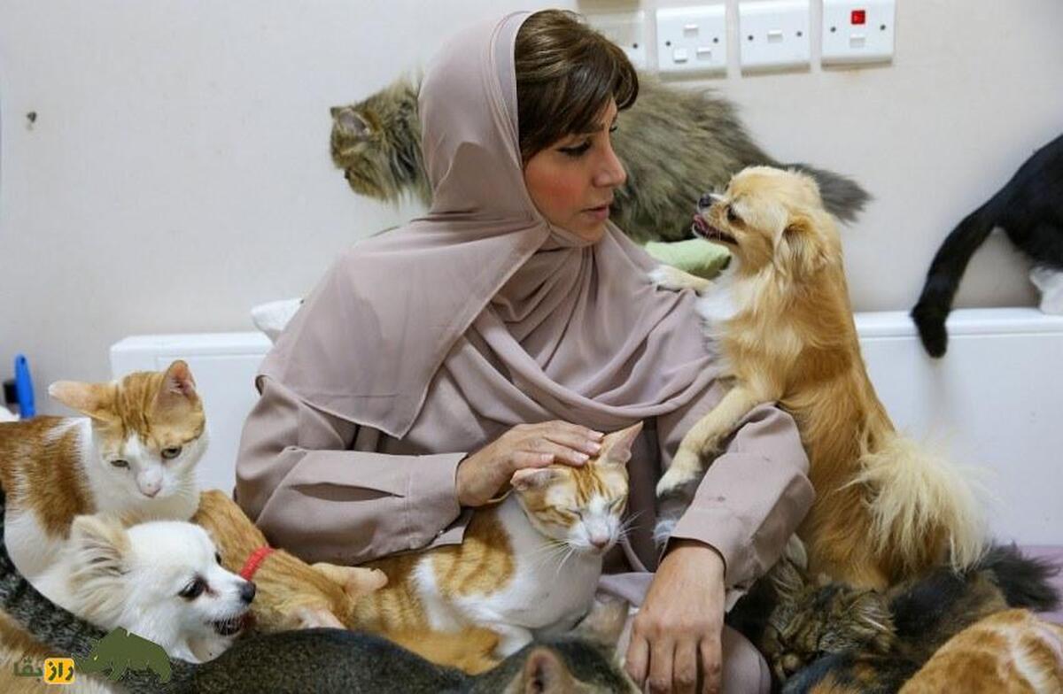 مریم البلوشی؛ زن عمانی که ۵۰۰ سگ و گربه دارد و ماهانه ۷۰۰ میلیون تومان هزینه آنها می‌کند