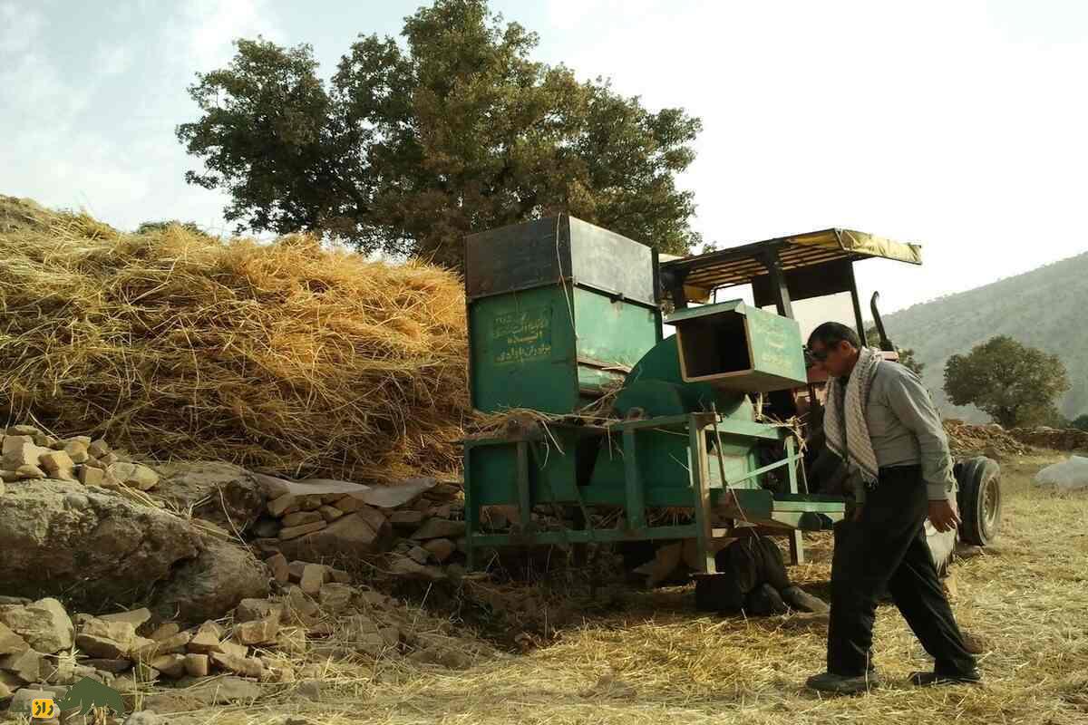 کشت کُرتاچ؛ ابتکار کشاورزان کهگیلویه برای سبزیکاری در دل خاکهای فقیر و شور جنوب غرب ایران کشت کُرتاچ؛ ابتکار کشاورزان کهگیلویه برای سبزیکاری در دل خاکهای فقیر و شور جنوب غرب ایران