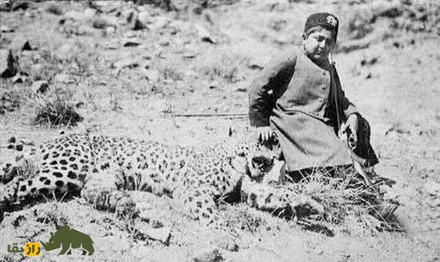 روزگاری که تهران پلنگ داشت؛ پلنگ‌های تهران کجا رفتند؟