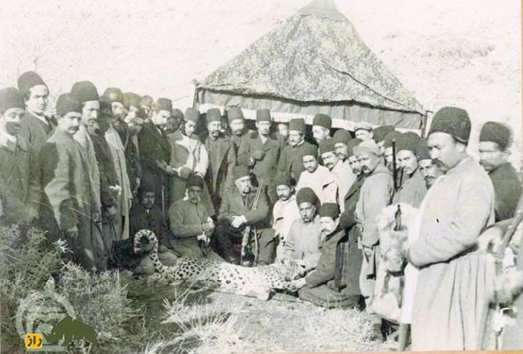 روزگاری که تهران پلنگ داشت؛ پلنگ‌های تهران کجا رفتند؟