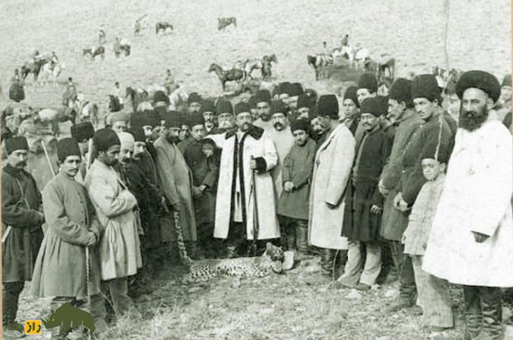 روزگاری که تهران پلنگ داشت؛ پلنگ‌های تهران کجا رفتند؟