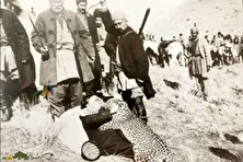 روزگاری که تهران پلنگ داشت؛ پلنگ‌های تهران کجا رفتند؟